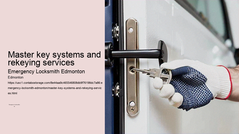 Master key systems and rekeying services