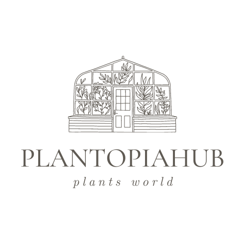 img/plantopiahub.png
