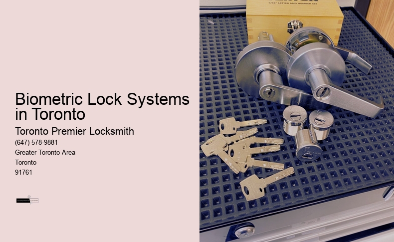 How Can You Protect Your Car from Theft? Find Out With Locksmith Toronto!