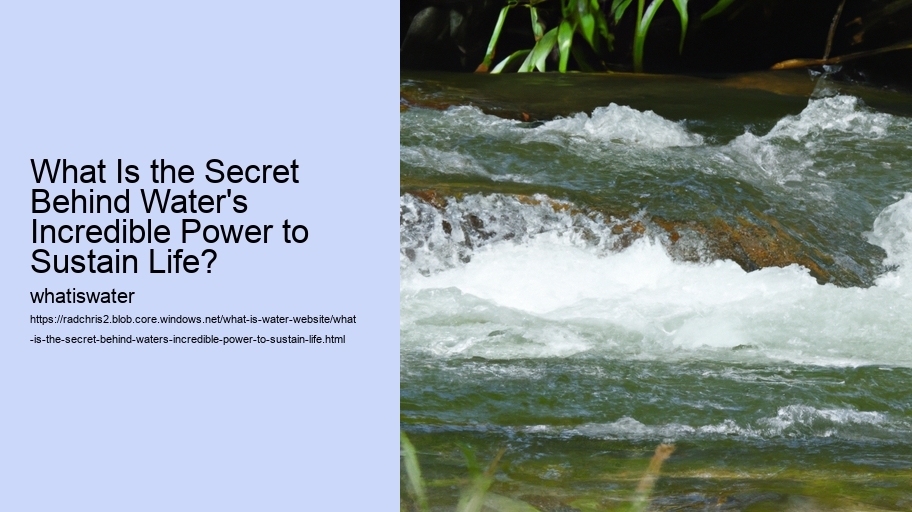 What Is the Secret Behind Water's Incredible Power to Sustain Life?